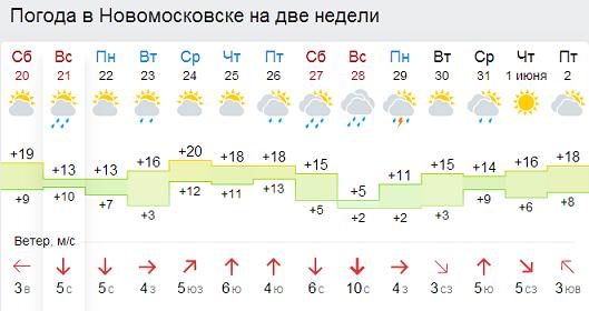 Погода новомосковск тульская область 7 дней. Погода на 2 недели в Новомосковске. Погода в Новомосковске Тульской.